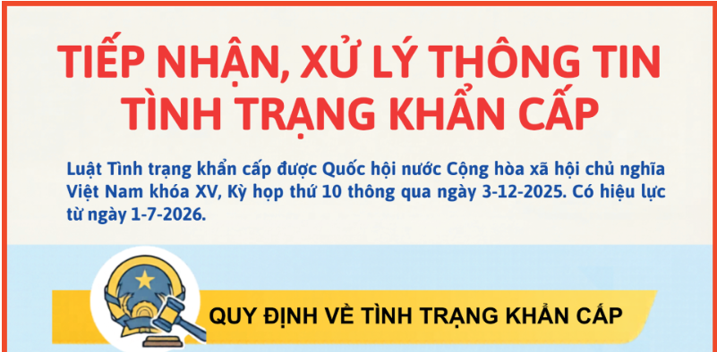 [Infographic] Tiếp nhận, xử lý thông tin tình trạng khẩn cấp