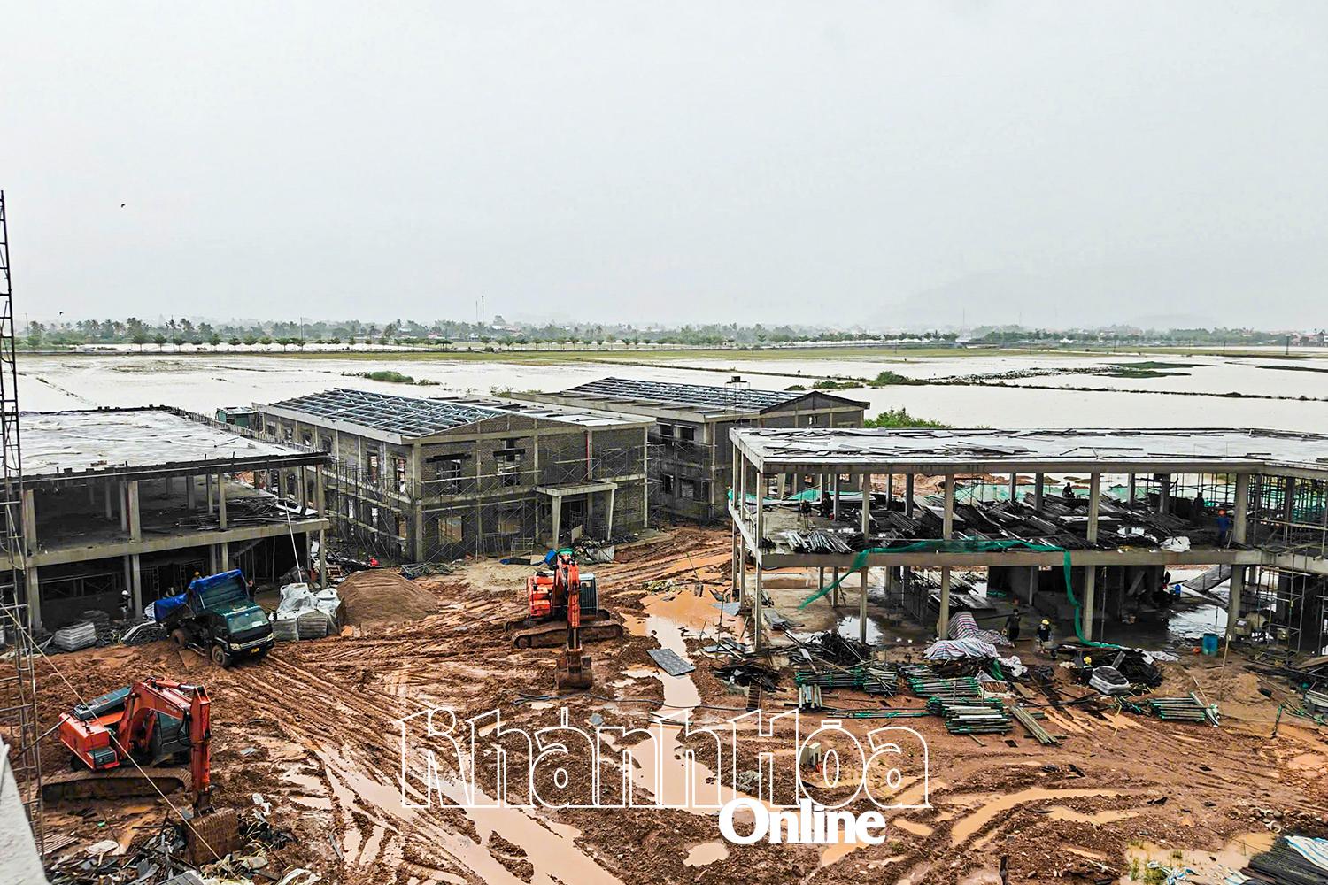 Ban Quản lý Dự án phát triển tỉnh: Đẩy nhanh tiến độ giải ngân vốn đầu tư công