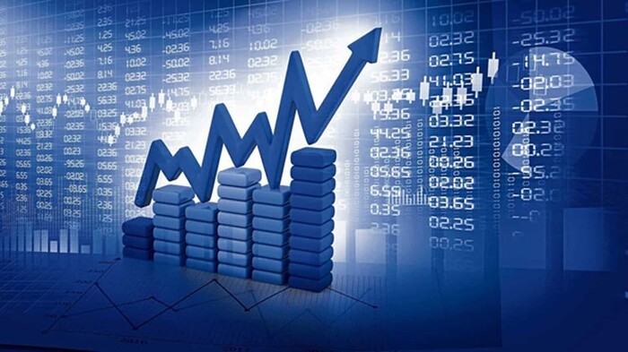 Triển khai Nghị quyết của Chính phủ về tăng trưởng kinh tế năm 2025 trên địa bàn tỉnh