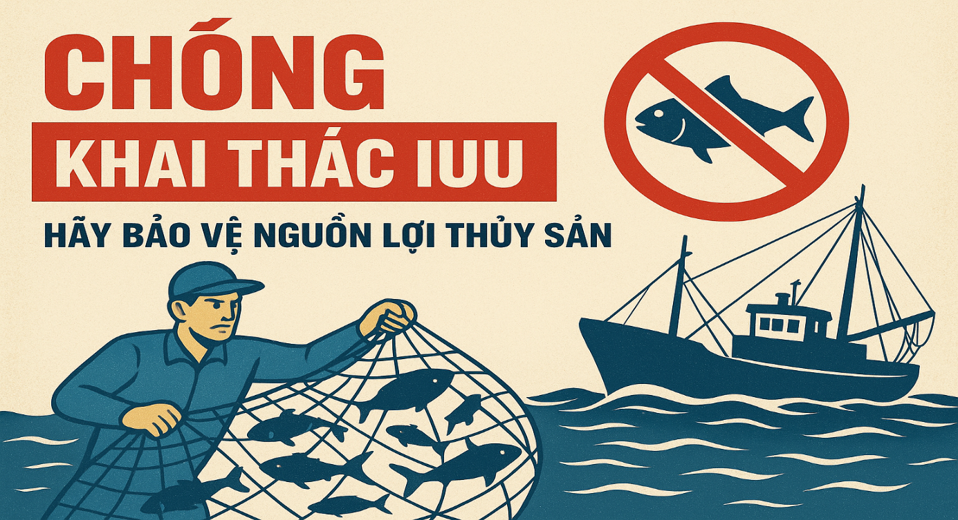 Khánh Hòa cơ bản hoàn thành các nhiệm vụ trọng tâm về chống khai thác IUU