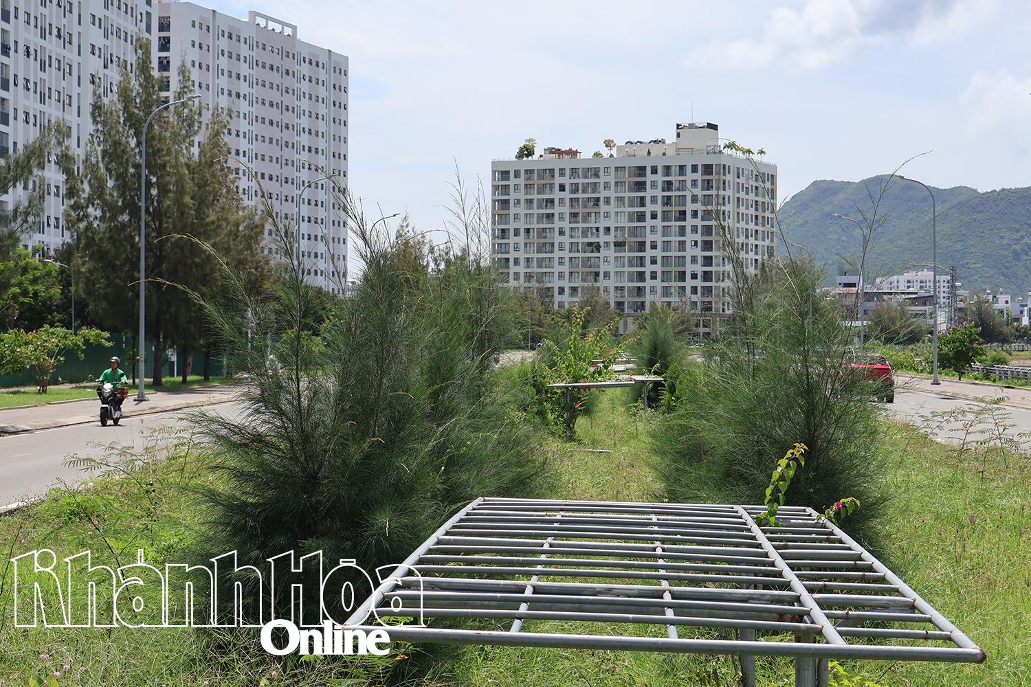 Công trình trồng cây xanh dải phân cách đường Vành đai 2, nhánh phía nam: Sẽ sớm bàn giao quản lý, chăm sóc để phát huy hiệu quả